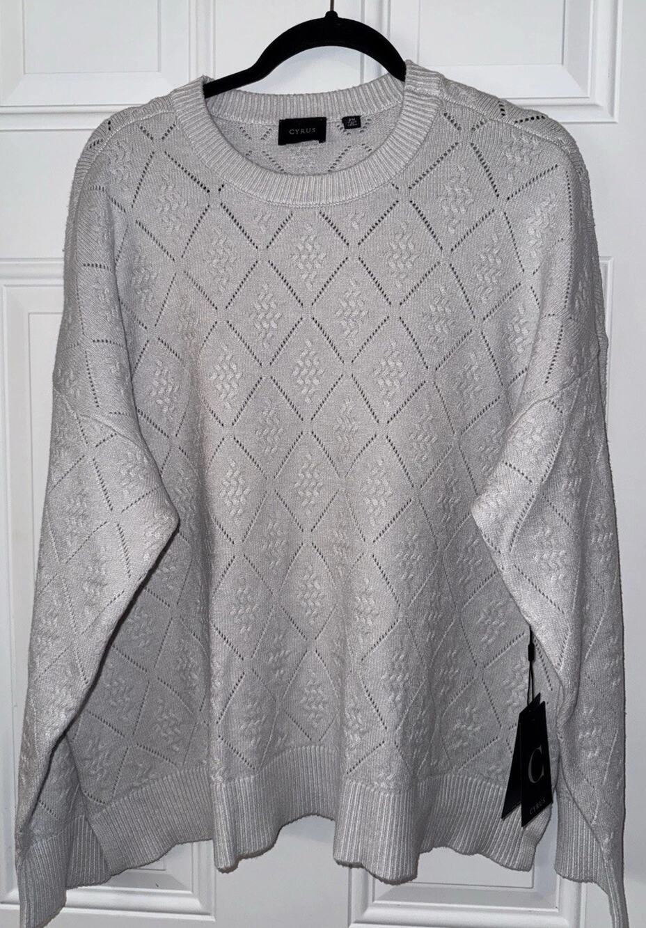 Cyrus 2X Women’s Sweater Light Silver Gray So Soft NWT 89.00